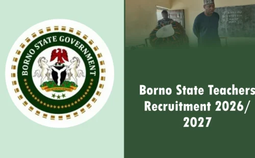 Borno State Teachers Recruitment Portal 2026/2027 Starting Date